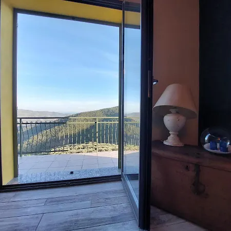 Il Nido Tra Gli Ulivi *
